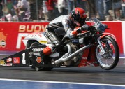 Harley-Davidson Screamin Eagle NHRA Drag Racing